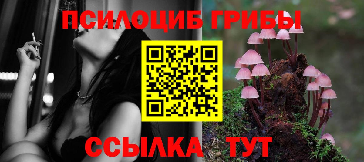 Сосновый Бор  дарнет шоп  Галлюциногенные грибы MAGIC MUSHROOMS  Вход с VPN  Псилоцибиновые грибы мухоморы 